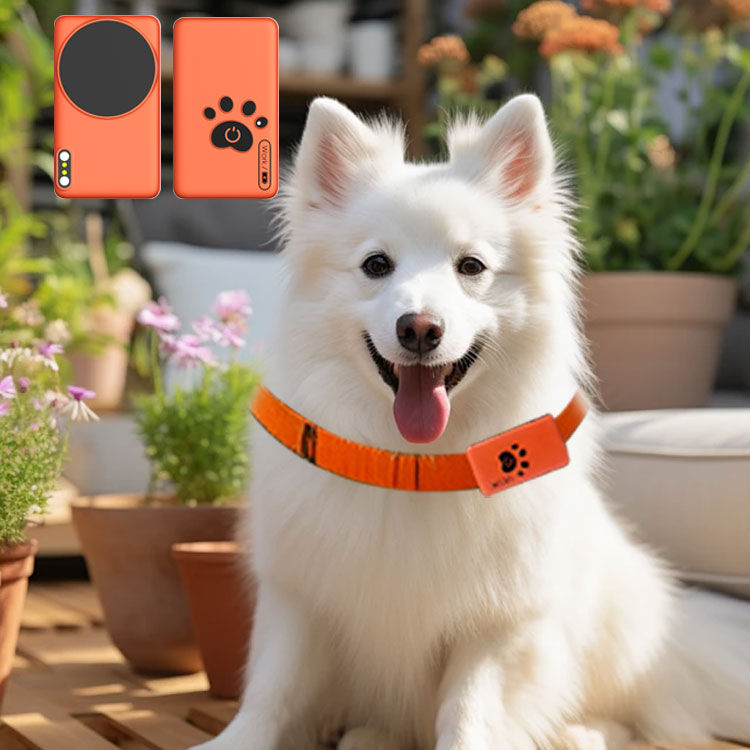 AI Wearable Pet Health Monitor - Breath Rate Monitor ulasan dan harga